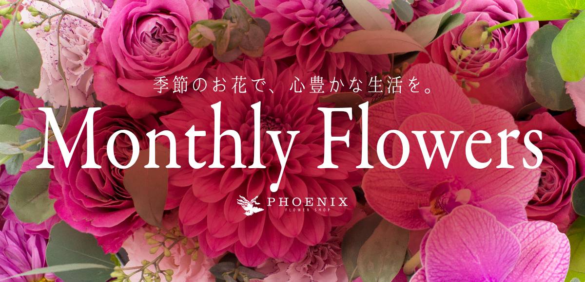フェニックスオンラインショップ プリザーブドフラワー 生花の通販サイト