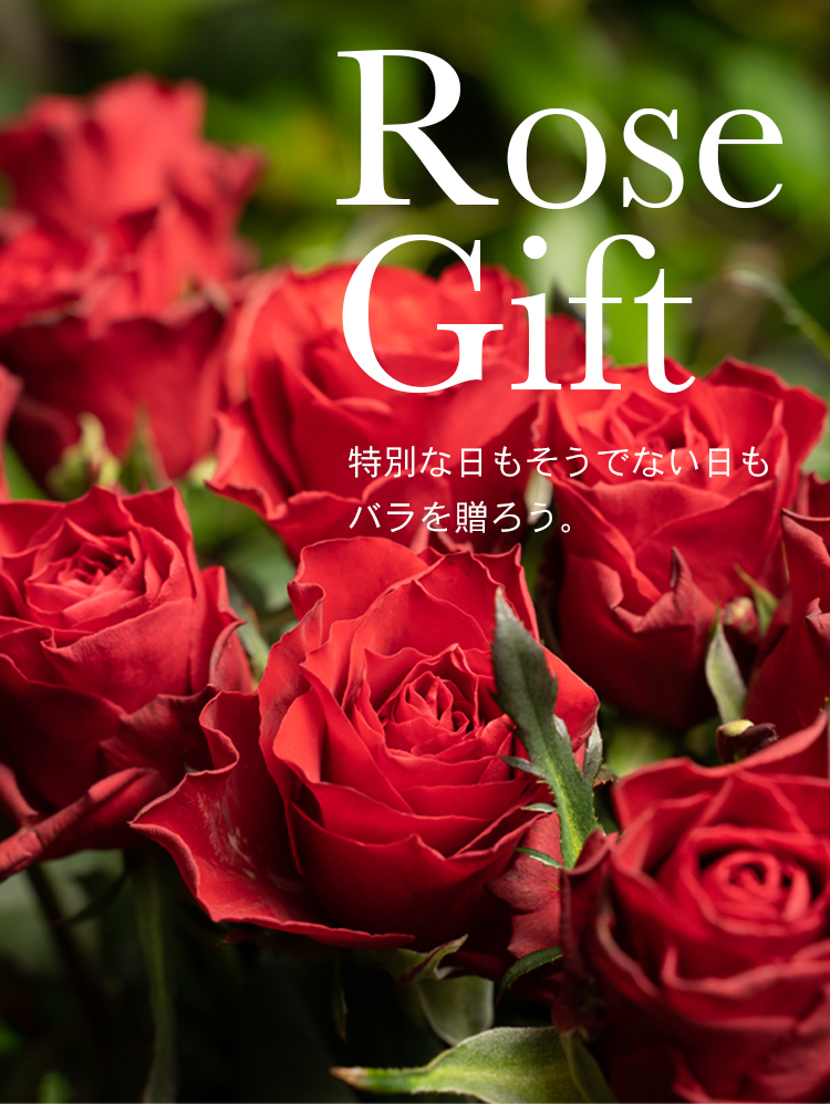 ROSE GIFT - 特別な日もそうでない日もバラを贈ろう -