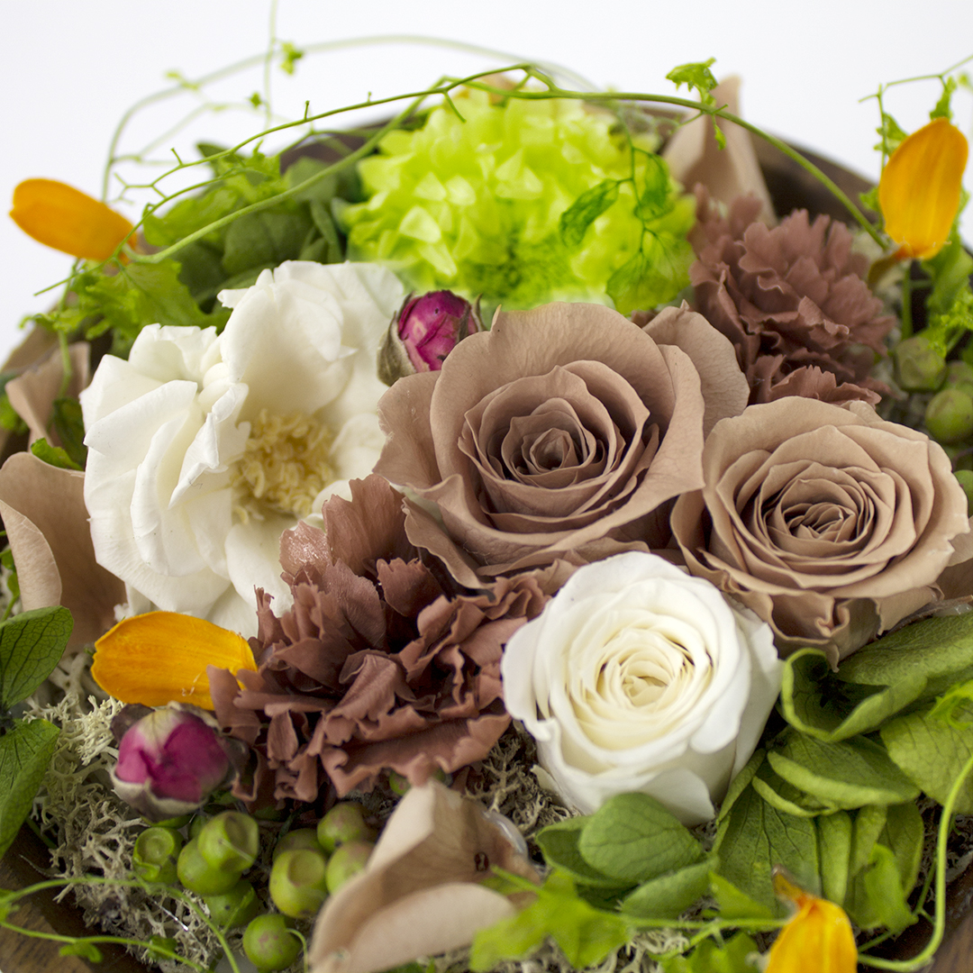 フェニックスオンラインショップ Phoenix Plume