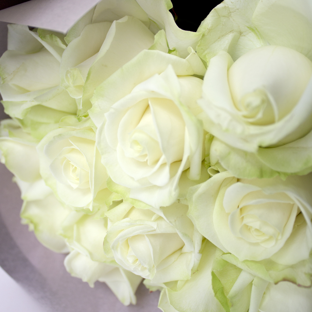 フェニックスオンラインショップ 大切な日や記念日に 12本のバラの花束 ダズンローズ アバランチェ