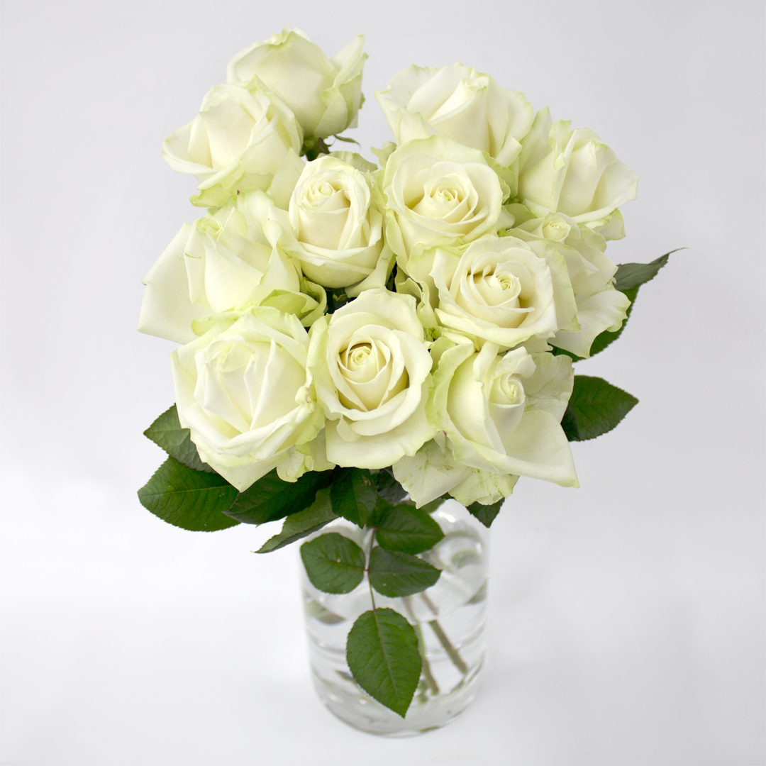 フェニックスオンラインショップ 大切な日や記念日に 12本のバラの花束 ダズンローズ アバランチェ