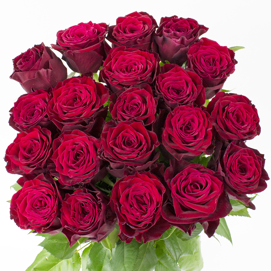 フェニックスオンラインショップ バラブーケ アマダ 30 39本