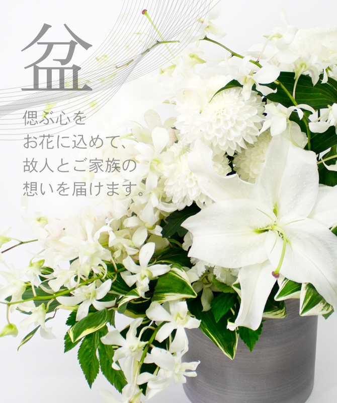 母の日特集